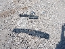 KMHL64JA3RA****** Salvage 2024 Hyundai Sonata in Texas State
