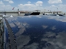 3GCPWCED9LG****** Usados y Reparables 2020 Chevrolet Silverado 1500 en Austin