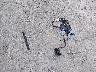1FMSK7DH7PG****** Wrecked 2023 Ford Explorer in Georgia State