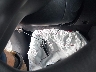3N1CN8EVXSL****** Salvage 2025 Nissan Versa in Virginia State