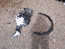 5N1BT3BAXSC****** Wrecked 2025 Nissan Rogue in Texas State