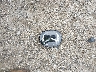 JM3TCBCY1M0****** Destrozados 2021 Mazda CX-9 en Estado de Massachusetts