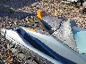 YDV6194***** Wrecked 2024 Sea-Doo Gti in Rec Rides Online Exclusive