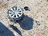 4T1C11AK1LU****** Wrecked 2020 Toyota Camry in Texas State
