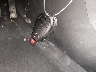 1C4PJLCB8KD****** Salvamento 2019 Jeep Cherokee en Estado de Luisiana