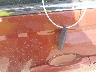 1N4BL4CV8NN****** Salvage 2022 Nissan Altima in Texas State