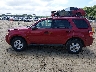 1FMCU0D75BK****** Reparables 2011 Ford Escape en Estado de Georgia