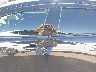 JTDACAAU8T3****** Reparables 2026 Toyota Prius en Estado de Texas