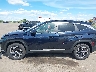 KM8JFCA13NU****** Salvage 2022 Hyundai Tucson Hybrid