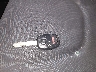 JHMGE88469S****** Salvage 2009 Honda Fit in Illinois State