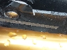 SMTP11S4XST****** Repairable 2025 Triumph Speed Triple in Rec Rides Online Exclusive