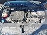 5NMJCCAE5NH****** Reparables 2022 Hyundai Tucson en Buffalo
