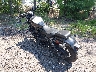 MLY1ZH119SS****** Salvage and Repairable 2025 Harley-Davidson Nightster in Rec Rides Online Exclusive