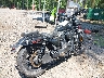 MLY1ZH119SS****** Salvage and Wrecked 2025 Harley-Davidson Nightster in Virginia State