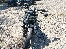 MLY1ZH119SS****** Used and Repairable 2025 Harley-Davidson Nightster in Virginia State