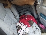 1GKKNKLS9LZ****** Wrecked 2020 GMC Acadia in Lincoln
