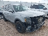 5XYP5DGC9RG****** Salvage and Wrecked 2024 Kia Telluride in Houston North