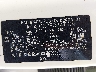 KNDJ23AUXR7****** Repairable 2024 Kia Soul