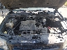 1FMCU9DG5CK****** Reparables 2012 Ford Escape en Denver East
