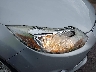 1FADP3F26EL****** Salvage and Wrecked 2014 Ford Focus in South Bend