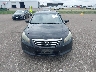 1HGCP2F85BA****** Destrozados 2011 Honda Accord en Estado de Minnesota