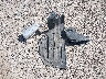 KNDMB5C13M6****** Wrecked 2021 Kia Sedona in Montana State