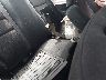 1HGCS1B34AA****** Destrozados 2010 Honda Accord en Raleigh