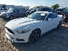 1FA6P8AM1F5****** Usados y Reparables 2015 Ford Mustang en Tulsa