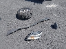 1GCGSBEN5J1****** Wrecked 2018 Chevrolet Colorado in Illinois State