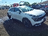 KNDPUCAF9P7****** Salvamento y Destrozados 2023 Kia Sportage en Buffalo