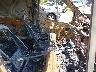 1FTYR3UG8KK****** Usados y Reparables 2019 Ford Transit-250 en Estado de Nueva Jersey