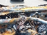 1FTYR3UG8KK****** Salvamento 2019 Ford Transit-250 en IAA Englishtown