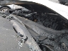 3KPA24AB0JE****** Salvamento 2018 Kia Rio