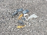3GNAXHEG4SL****** Destrozados 2025 Chevrolet Equinox en Estado de Ohio