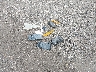 3GNAXHEG4SL****** Salvamento y Destrozados 2025 Chevrolet Equinox en Akron Canton