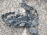 5N1BT3BB1TC****** Wrecked 2026 Nissan Rogue in Oklahoma State