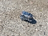 JF2GTAPCXP8****** Wrecked 2023 Subaru Crosstrek in New Hampshire State