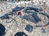 7FARS6H84SE****** Wrecked 2025 Honda CR-V Hybrid in Massachusetts State