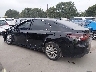 4T1C11AK5PU****** Salvage 2023 Toyota Camry