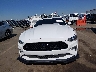 1FA6P8CF5K5****** Destrozados 2019 Ford Mustang en Estado de Carolina del Norte