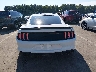 1FA6P8CF5K5****** Destrozados 2019 Ford Mustang