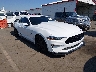 1FA6P8CF5K5****** Salvamento y Destrozados 2019 Ford Mustang en Raleigh