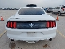 1FA6P8AMXF5****** Destrozados 2015 Ford Mustang