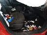 ZACNJBBB8KP****** Used and Repairable 2019 Jeep Renegade in Tennessee State