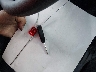 1C4NJPBA1ED****** Salvamento 2014 Jeep Patriot en Estado de Nueva Jersey