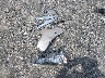 YV4M12RM2T1****** Wrecked 2026 Volvo XC60 in Georgia State