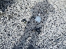 5XYK7CDF0SG****** Wrecked 2025 Kia Sportage in West Virginia State