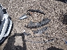 3FADP4EJ2JM****** Wrecked 2018 Ford Fiesta in Ohio State