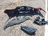 JTHGZ1E2XN5****** Wrecked 2022 Lexus IS in South Dakota State