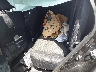 5N1AT2MV1KC****** Wrecked 2019 Nissan Rogue in Tulsa